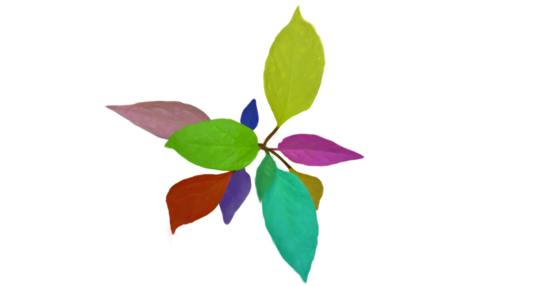 Plant 1 Ours (Euclidean)